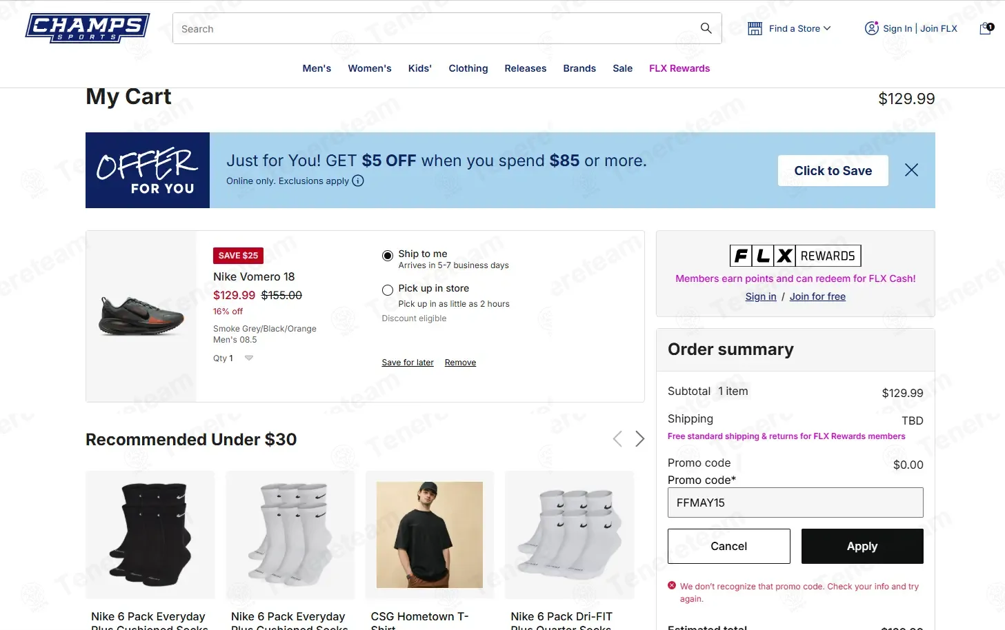 Champs Sports coupon code: 15% off with FFMAY15. Tested and valid as 2 months ago.